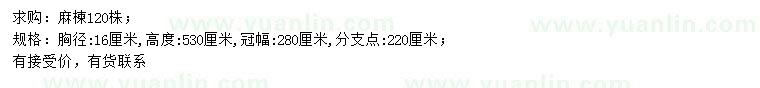 求購胸徑16公分麻楝