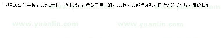 求購10公分早櫻