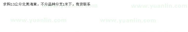 求購13公分北美海棠
