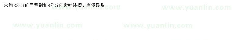 求購(gòu)8公分巨紫荊、8公分紫葉矮櫻
