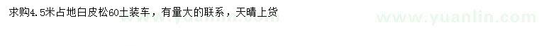 求購4.5米白皮松