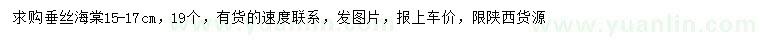 求購(gòu)15-17公分垂絲海棠
