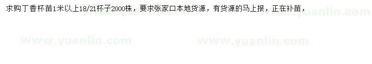 求購1米以上丁香