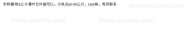 求購8公分碧桃