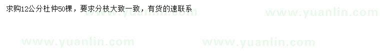 求購12公分杜仲