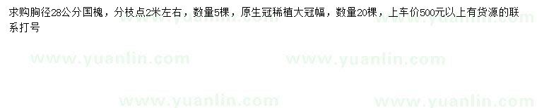 求購(gòu)胸徑28公分國(guó)槐