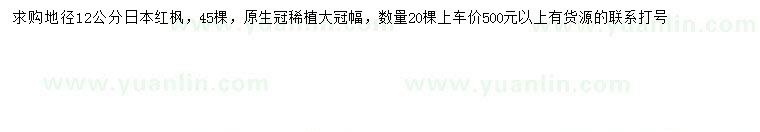 求購地徑12公分日本紅楓