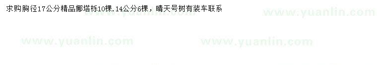 求購胸徑17公分娜塔櫟
