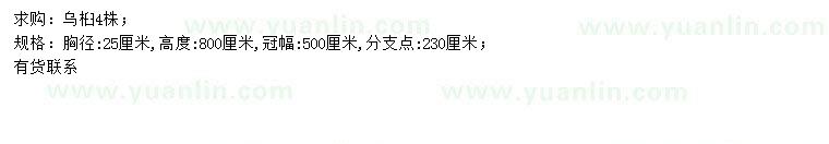 求購(gòu)胸徑25公分烏桕