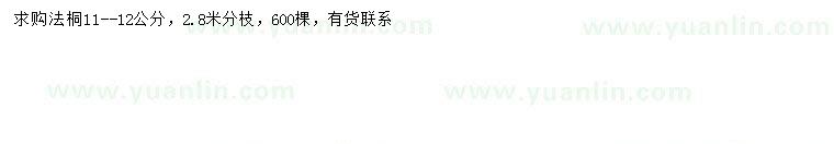求購11-12公分法桐