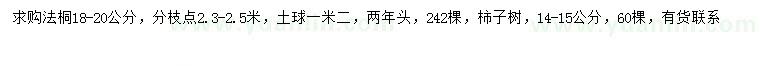 求購(gòu)18-20公分法桐、14-15公分柿子樹(shù)