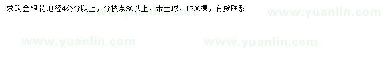 求購地徑4公分以上金銀花