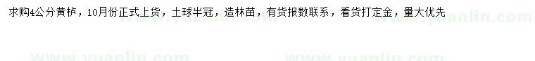 求購(gòu)4公分黃櫨