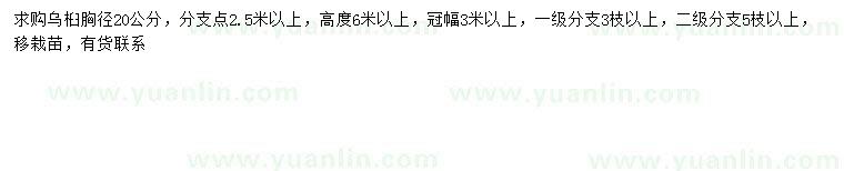 求購(gòu)胸徑20公分烏桕