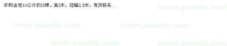 求購10公分金桂