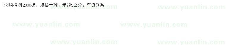 求購米徑5公分榆樹