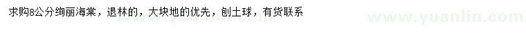 求購8公分絢麗海棠