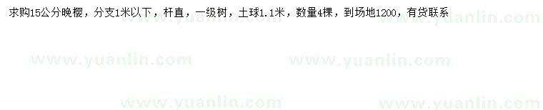 求購15公分晚櫻