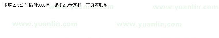 求購(gòu)2.5公分榆樹