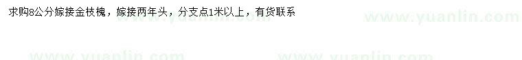 求購8公分金枝槐