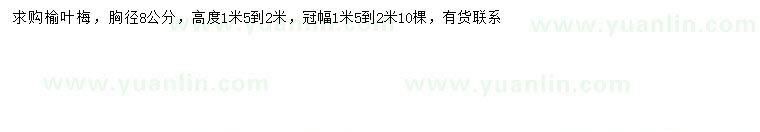 求購胸徑8公分榆葉梅