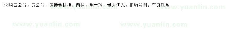 求購(gòu)4、5公分金枝槐