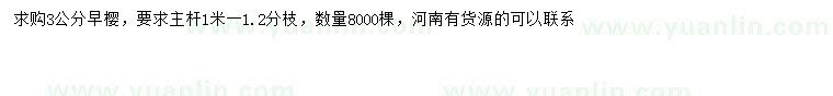 求購3公分早櫻