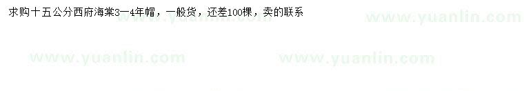 求購15公分西府海棠