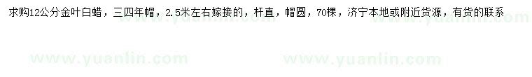 求購12公分金葉白蠟