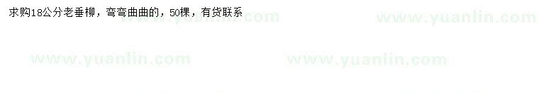 求購18公分垂柳