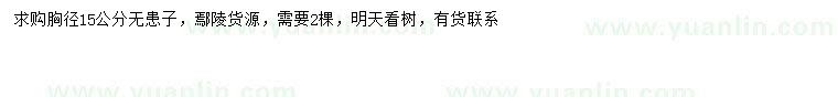 求購胸徑15公分無患子