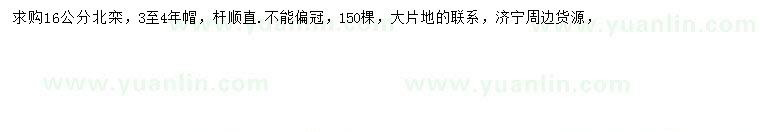 求購(gòu)16公分北欒