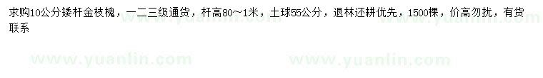 求購(gòu)10公分金枝槐