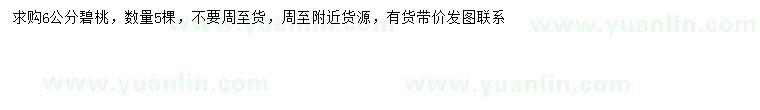 求購6公分碧桃