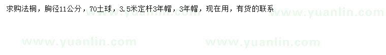 求購(gòu)胸徑11公分法桐