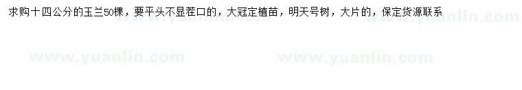 求購(gòu)14公分玉蘭