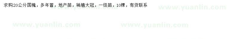 求購20公分國槐