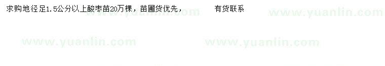 求購(gòu)地徑1.5公分以上酸棗