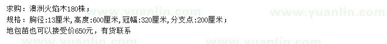 求購胸徑13公分澳洲火焰木
