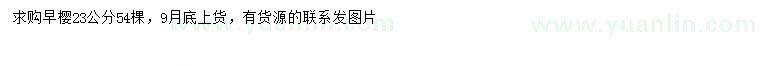 求購(gòu)23公分早櫻