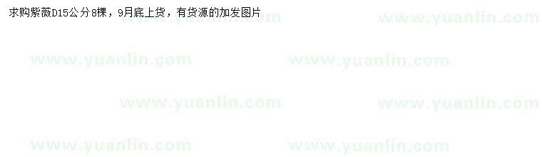 求購地徑15公分紫薇