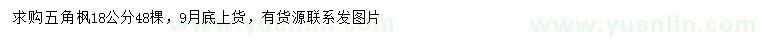 求購(gòu)18公分五角楓
