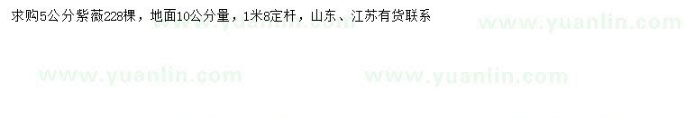求購10量5公分紫薇