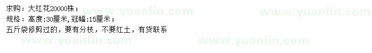 求購(gòu)高30公分大紅花