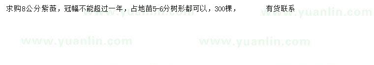 求購8公分紫薇