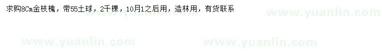 求購8公分金枝槐