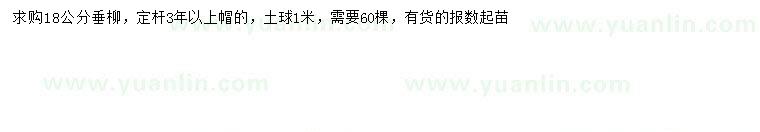求購18公分垂柳