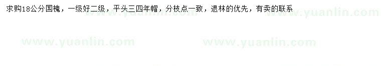 求購18公分國槐
