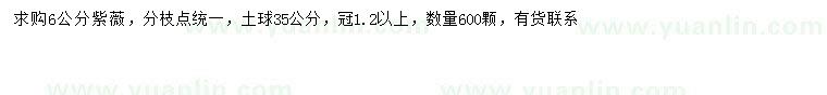 求購6公分紫薇