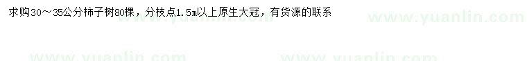求購30-35公分柿子樹